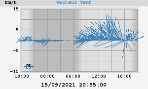 Wind Vector