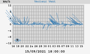 Wind Vector