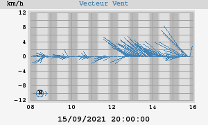 Wind Vector