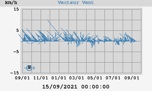 Wind Vector